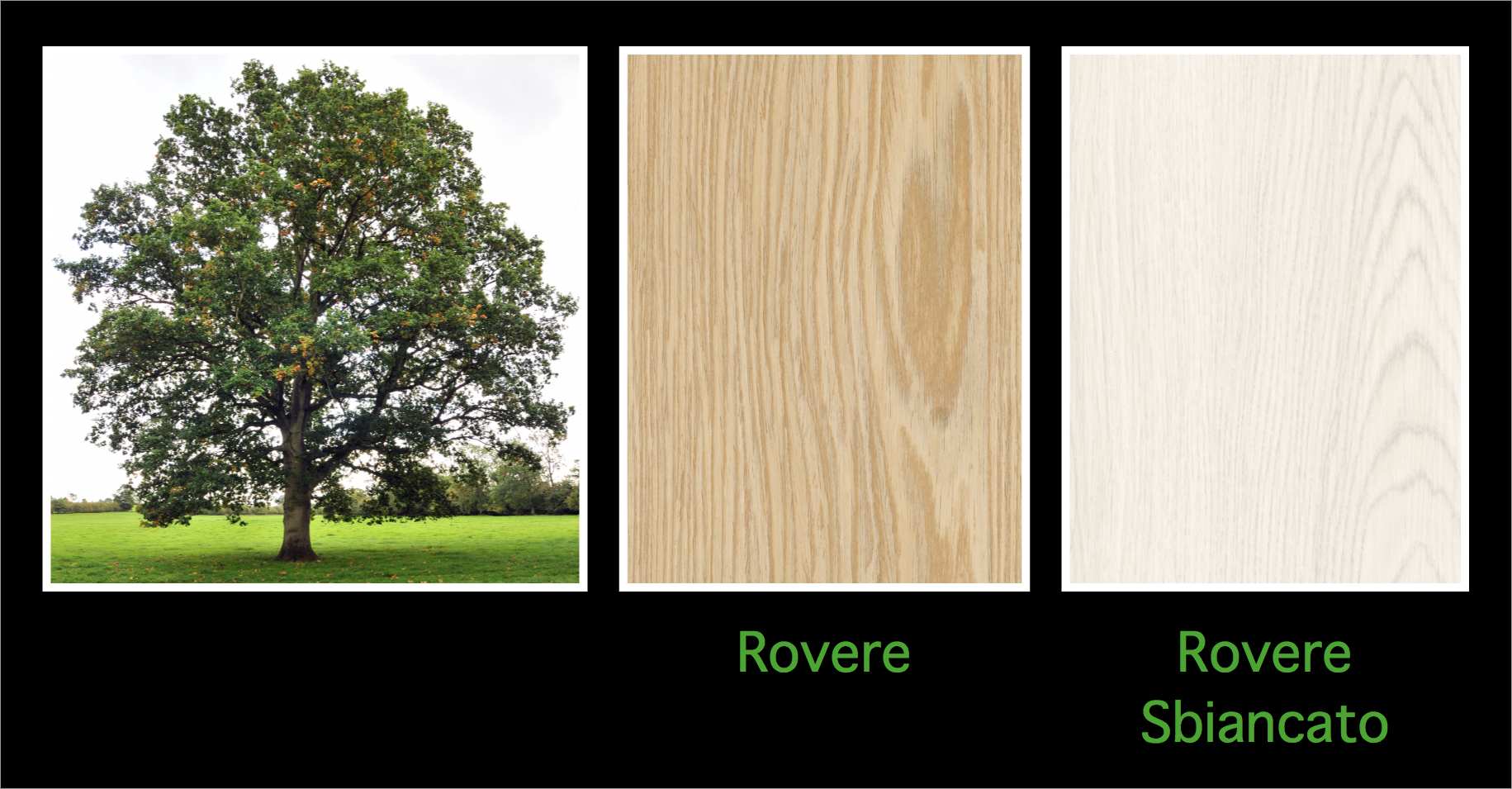 Rovere